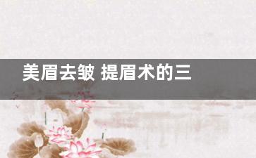 美眉去皱 提眉术的三个优点